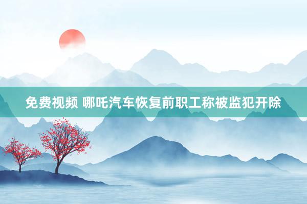 免费视频 哪吒汽车恢复前职工称被监犯开除