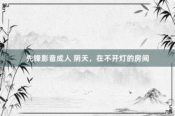 先锋影音成人 阴天，在不开灯的房间